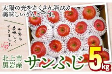 りんご（サンふじ）約5kg 岩手県 北上市 D0046 くろいわ産直  フジ さんふじ 贈答 お歳暮 ギフト 冬の贈り物 プレゼント 厳選 甘い 果汁たっぷり リンゴ 林檎 