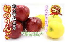 予約受付 10月上旬～発送予定  完熟りんご(セット) 約5kg サンふじ ＆ 旬の りんごセット（ぐんま名月 シナノゴールド 大夢 星の金貨 など）完熟 金成園 たっぷり 岩手県 北上市 D0058