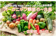 予約受付＼2025年7月発送開始予定／【定期便/3ヶ月】オーガニック野菜　6～8品 旬 野菜 新鮮野菜 詰め合せ 国産 季節 おまかせ 産地直送 春野菜 夏野菜 秋野菜 きのこ 葉物 果物 果菜  贈り物 スイーツ ヘルシー 1人暮らし 家族 夫婦 小分け 料理 根菜 冷蔵 オーガニック 高原野菜 定期 岩手県 北上市 G0020