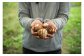 その旬に収穫した野菜を発送いたします。根菜など「土つき」で発送する場合がございます。