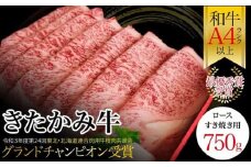 最優秀賞受賞 和牛 ブランド牛 きたかみ牛 ロースすき焼き用750g     国産 黒毛 和牛 数量限定 A5 A4 人気 肉 牛肉 お歳暮 忘年会 贈答用 牛ロース 岩手県 北上市 H0009（お肉のたかゆう） 牛肉 ロース すき焼 
