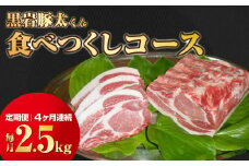 【定期便 / 4ヶ月】豚肉 セット 黒岩豚太くん 食べつくしコース 毎月 約2.5キロ 岩手県 北上市 N0073 小分け 真空パック お歳暮 お中元 ギフト 栄養豊富 ビタミンB 四元豚 希少豚 お米育ち豚 ありすポーク 国産 日本産 国内産 おせち お正月 くろいわ 黒岩 とんた トンタ しゃぶしゃぶ 焼肉 BBQ バーベキュー 定期 毎月 お届け 