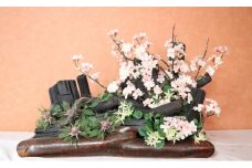 【炭の詩】 展勝地桜 