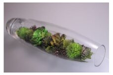 【空気をキレイにする】ガラスの中の植物 アートフラワー インテリア（小）