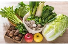岩手の恵みをお届け！ 産地こだわり 平留商店のおまかせ野菜セット（野菜12品程度）旬 野菜 新鮮野菜 詰め合せ 国産 季節 おまかせ 産地直送 春野菜 夏野菜 秋野菜 きのこ 葉物 果物 果菜 フルーツ 贈り物 スイーツ ヘルシー 1人暮らし 家族 夫婦 小分け 料理 根菜 冷蔵 野菜室 ダイエット 食 栄養食 加工品 厳選 岩手県 北上市 C0109