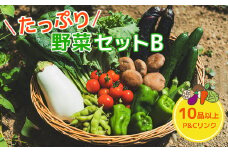 たっぷり 野菜セットB 10品 以上 季節 旬 野菜 詰め合せ 国産 季節 旬 おまかせ 産地直送 春野菜 夏野菜 秋野菜 きのこ 葉物 果物 果菜 根菜 冷蔵 野菜室 ダイエット 食 栄養食 加工品 カット野菜 岩手県産 北上産 季節限定 山菜 ブロッコリー たまねぎ さつまいも とうもろこし サラダ トマト しいたけ アスパラガス 送料無料 岩手県 北上市 C0502