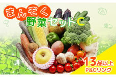 まんぞく野菜セットC 13品 以上 季節 旬 野菜 詰め合せ 国産 季節 旬 おまかせ 産地直送 春野菜 夏野菜 秋野菜 きのこ 葉物 果物 果菜 根菜 冷蔵 野菜室 ダイエット 食 栄養食 加工品 カット野菜 岩手県産 北上産 季節限定 山菜 ブロッコリー たまねぎ さつまいも とうもろこし サラダ トマト しいたけ アスパラガス 送料無料 岩手県 北上市 E0228
