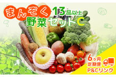 【6ヶ月 定期便】 まんぞく野菜セットC 13品 以上 季節 旬 野菜 詰め合せ 定期 国産 季節 旬 おまかせ 産地直送 春野菜 夏野菜 秋野菜 きのこ 葉物 果物 果菜 根菜 冷蔵 野菜室 ダイエット 食 栄養食 加工品 カット野菜 岩手県産 北上産 季節限定 山菜 ブロッコリー たまねぎ さつまいも とうもろこし サラダ トマト しいたけ 送料無料 岩手県 北上市 N0017  
