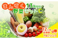 【 12ヶ月 定期便 】まんぞく野菜セットC 13品 以上 季節 旬 野菜 詰め合せ 定期 国産 季節 旬 おまかせ 産地直送 春野菜 夏野菜 秋野菜 きのこ 葉物 果物 果菜 根菜 冷蔵 野菜室 ダイエット 食 栄養食 加工品 カット野菜 岩手県産 北上産 季節限定 山菜 ブロッコリー たまねぎ さつまいも とうもろこし サラダ トマト しいたけ 送料無料 岩手県 北上市 Q0005