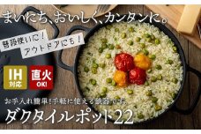 IH対応 鉄 鍋 フライパン ダクタイルポット 22cm 鉄器 錆びにくい 超軽量 アウトドア BBQ キャンプ 直火 万能鉄鍋 岩手県 北上市  O0102 (岩手製鉄) 