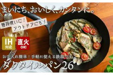 IH対応 鉄 フライパン ダクタイルパン 26cm スキレット 錆びにくい 岩鉄 鉄器 BBQ アウトドア キャンプ 直火 テフロン より長持ち 超軽量 岩手製鉄 岩手県 北上市 J0149