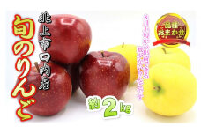 予約受付 8月上旬～発送予定　【 品種おまかせ 】りんご 約 2kg セット  北上市/口内産  りんご 果物 フルーツ おやつ お土産 お歳暮 お中元 お祝い 子供 ファミリー 家庭 金成園 岩手県 北上市 A0170　