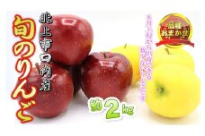 予約受付 8月上旬～発送予定　【 品種おまかせ 】りんご 約 2kg セット  北上市/口内産  りんご 果物 フルーツ おやつ お土産 お歳暮 お中元 お祝い 子供 ファミリー 家庭 金成園 岩手県 北上市 A0170　