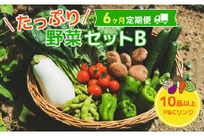 【6ヶ月定期便】 たっぷり 野菜セット B 10品 以上 季節 旬 野菜 詰め合せ 定期 国産 季節 旬 おまかせ 産地直送 春野菜 夏野菜 秋野菜 きのこ 葉物 果物 果菜 根菜 冷蔵 野菜室 ダイエット 食 栄養食 加工品 カット野菜 岩手県産 北上産 季節限定 山菜 ブロッコリー たまねぎ さつまいも とうもろこし サラダ トマト しいたけ アスパラガス 送料無料 岩手県 北上市 J0153
