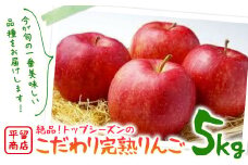 【 予約受付 】絶品！平留商店トップシーズンのこだわり 完熟 りんご 約5kg ※12月中旬頃発送開始予定