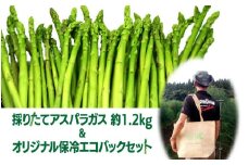 【8月中旬～発送予定】　夏！採りたてアスパラガス 約1.2kg ＆オリジナル保冷 エコバック セット アスパラ  野菜 季節の野菜 石井建一 岩手県 北上市 D0433