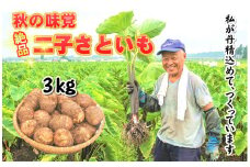 【特産品！数量限定・期間限定】二子さといも　3㎏以上！