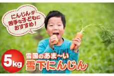 雪国のあまーい雪下にんじん 約5kg 人参嫌いの息子のために開発！ 野菜 人参 甘い野菜 東北の野菜 特別野菜 食育 岩手県北上市 C0074