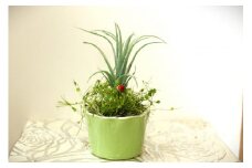 【空気をきれいにするアートフラワー】 観葉植物 小 インテリア アート 花 置物 小物 雑貨 プレゼント 岩手県 北上市 B0427 あとりえヒロ