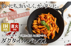 IH対応 鉄 フライパン ダクタイルパン 22cm スキレット 錆びにくい 岩鉄 鉄器 BBQ アウトドア キャンプ 直火 テフロン より長持ち 超軽量 岩手製鉄 岩手県 北上市 I0102