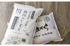 【 令和6年産 新米 】 北上産 銀河のしずく・ ひとめぼれ 各 5kg (合計 10kg )セット 無洗米 お米 ご飯 食べ比べ  国産 産地直送 ブランド米 オリジナル 品種 岩手県 北上市 E0265