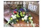 明るめ、白1色など