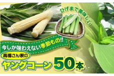 【予約受付 2026年 6月下旬発送開始予定】髙橋さんの ヤングコーン 50本 国産 野菜 岩手県 北上市 夏 旬 季節限定 やさい ベビーコーン C0233