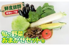 鮮度抜群！【平留商店】こだわりの旬の野菜おまかせセット(小)（野菜６～７品 旬 野菜 新鮮野菜 詰め合せ 国産 季節 おまかせ 産地直送 春野菜 夏野菜 秋野菜 きのこ 葉物 果物 果菜 フルーツ 贈り物 スイーツ ヘルシー 1人暮らし 家族 夫婦 小分け 料理 根菜 冷蔵 野菜室 ダイエット 食 栄養食 加工品 厳選 岩手県 北上市 A0203
