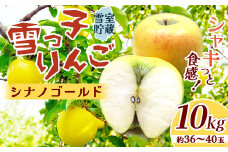 雪っ子 りんご 熟成 シナノゴールド 10kg  数量限定 リンゴ 林檎 果物 フルーツ 果実 贈答 おすそ分け シェア 雪室貯蔵 雪っ子りんご 東北 岩手 土産 展勝地 桜の名所 岩手県 北上市 G0216 ※3月より寄附額変更となりました