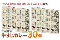 きたかみ牛すじカレー　200g × 30個