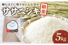 【 令和6年産 】『 ササニシキ 』 5kg 【農薬節約栽培】 北上産 せいぶ農産 米 岩手県 北上市 D0463 国産 お米 こめ ご飯 ささにしき 精米