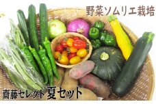 【 2025年7月～発送】野菜ソムリエ 齋藤セレクト「新」夏 野菜 7種 以上 セット  国産 岩手 旬 野菜セット 詰め合わせ 岩手県 北上市 B0317 齋藤 智仁 きゅうり ミニトマト たまねぎ にんじん ナス ピーマン ジャンボシシトウ パプリカ インゲン キャベツ ズッキーニ とうがらし 絹さや えだまめ とうもろこし