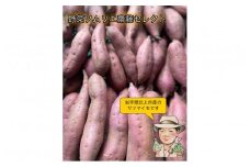 【予約受付 2025年産 】 野菜ソムリエ 齋藤セレクト「新」秋セット さつまいも 2種 (約 5kg ) セット 国産 岩手 サツマイモ 芋 野菜 セット シルクスイート 紫さつまいも パープルスイート ハロウィンスイート 紅あずま 紅はるか 安納芋 鳴門金時等 岩手県 北上市 C0308 齋藤 智仁 ※令和7年10月中旬発送開始予定
