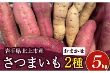 【予約受付 2025年産 】 野菜ソムリエ 齋藤セレクト「新」秋セット さつまいも 2種 (約 5kg ) セット 国産 岩手 サツマイモ 芋 野菜 セット シルクスイート 紫さつまいも パープルスイート ハロウィンスイート 紅あずま 紅はるか 安納芋 鳴門金時等 岩手県 北上市 C0308 齋藤 智仁 ※令和7年10月中旬発送開始予定