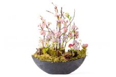展勝地の桜なみき