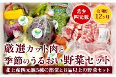  12ヶ月定期便 四元豚 厳選カット肉 & 季節のうるおい野菜 セット GIFTON お歳暮 お中元  ギフト プレゼント 母の日 父の日 誕生日 お祝い 卒業祝い 入学祝い バーベキュー BBQ 焼肉 ファミリー パーティー 子供会 肉 セット 野菜 セット 旬の野菜 季節の野菜 豚肉 カット肉 岩手県 北上市 ごえん 株式会社  R0018 レビューキャンペーン