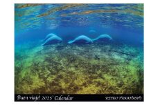 2025年度  高橋怜子  海の絶景 カレンダー ナショナル ジオグラフィック写真コンテスト 総合グランプリ受賞 壁掛け フォト インテリア Reiko Takahashi photography 岩手県 北上市 C0322