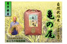 【令和7年産予約】木こりの菊池農園　自然栽培米【亀の尾】玄米5kg   米 希少 ご飯 ごはん おにぎり お米 炊きたて 岩手県 北上市 G0055