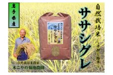 令和7年産予約 木こりの菊池農園 自然栽培米【ササシグレ】白米5kg  新米 米 希少 ご飯 ごはん おにぎり お米 炊きたて 岩手県 北上市 F0043