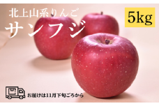 【 予約受付 /2025年 11月発送開始 】 北上山系 りんご サンふじ 5kg (目安12～20玉) リンゴ 林檎 サンフジ ふじ 果物 フルーツ 果実 贈答 東北 岩手 土産 展勝地 桜の名所 岩手県 北上市 E0143 展勝地レストハウス