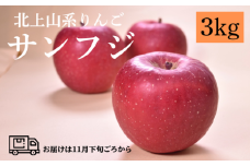【 予約受付 /2025年 11月発送開始 】北上山系 りんご サンふじ 3kg (目安7～10玉) リンゴ 林檎 サンフジ ふじ 果物 フルーツ 果実 贈答 東北 岩手 土産 展勝地 桜の名所 岩手県 北上市 D0260 展勝地レストハウス