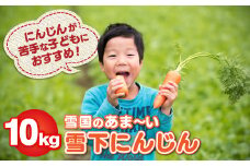 雪国のあまーい雪下にんじん 約10kg 人参嫌いの息子のために開発！ 野菜 人参 甘い野菜 東北の野菜 特別野菜 食育 岩手県北上市 D0145