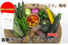 【予約受付】2025年7月中旬発送予定【 定期便 】 野菜ソムリエ 齋藤セレクト 3ヶ月セット 旬 野菜 7品 以上 定期便 詰め合わせ 岩手県 北上市 F0077 齋藤 智仁 きゅうり ミニトマト たまねぎ にんじん ナス ピーマン ジャンボシシトウ パプリカ インゲン キャベツ ズッキーニ とうがらし（参考：万願寺とうがらし等） 絹さや えだまめ とうもろこし