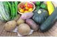 野菜ソムリエが厳選した「お野菜」をお届け！！