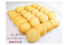 【個包装】さくさくバニラクッキー詰め合わせ たまご不使用 プレゼント ギフト おすそわけ 香料不使用 マーガリン不使用 保存料不使用 簡易包装 水曜屋 岩手県 北上市 C0561※3月より寄附額変更となりました