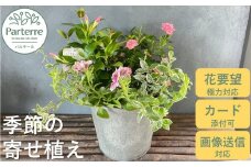 花屋が贈る季節の寄せ植え鉢【通常受付】 花 鉢植え 寄せ植え 季節 お花 パルテール