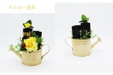 【炭の詩】　ジョーロ （イエロー）脱臭 消臭 除湿 脱臭剤 除湿剤 セット ディスプレイ 空気清浄 浄化作用 消臭 インテリア オブジェ リラックス 手作り 雑貨 母の日 父の日 プレゼント 贈り物 プチギフト ぐりーん☆ぐれーす 岩手県 北上市 C0120-02