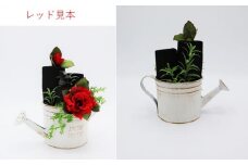 【炭の詩】　ジョーロ （レッド）脱臭 消臭 除湿 脱臭剤 除湿剤 セット ディスプレイ 空気清浄 浄化作用 消臭 インテリア オブジェ リラックス 手作り 雑貨 母の日 父の日 プレゼント 贈り物 プチギフト ぐりーん☆ぐれーす 岩手県 北上市 C0120-03