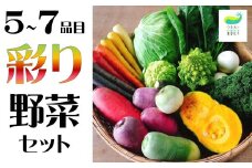 ＼6月から発送開始／農園自慢 彩り 野菜セット（ 5品 以上～）旬 野菜 詰め合わせ シェフ御用達 国産 岩手 うるおい春夏秋冬 岩手県 北上市 A0235 旬野菜 季節の野菜 西洋野菜 紫人参 黄色人参 丸なす 水なす 小なす 長なす とうがらし 伏見とうがらし カラフル 野菜 お試し 少量 一人暮らし 直送 送料無料