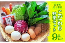 ＼6月から発送開始／ こだわり 野菜セット（9品以上） うるおい春夏秋冬 岩手県 北上市 C0493 旬野菜 季節の野菜 西洋野菜  紫人参 黄色人参 丸なす 水なす 小なす 長なす とうがらし 伏見とうがらし カラフル 野菜